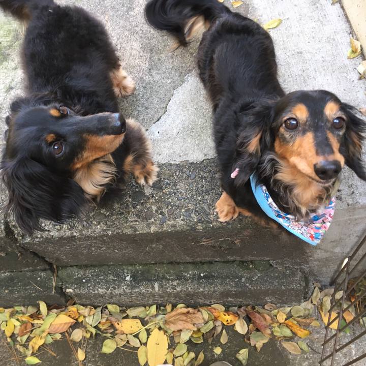 21e49912 5d9b 4fb8 a77e 5aabc94af992 1509880785919