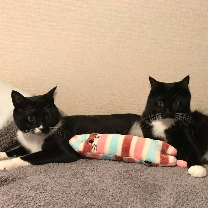 21e4a99f 27d6 42ce bb2f 7e41105240b4 1508801635506