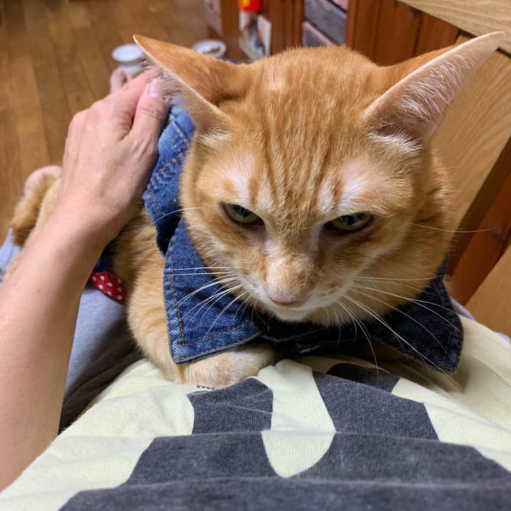 21e4b8c1 543a 4779 a0ce 378aed5f9593 1625829338922