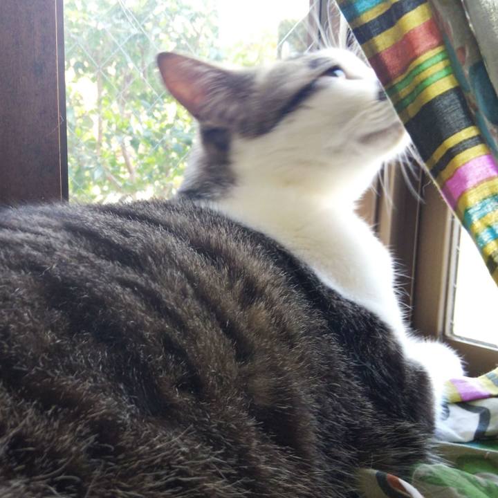 21e4da85 50bd 4094 b5f8 3b276b65ae92 1649630842407