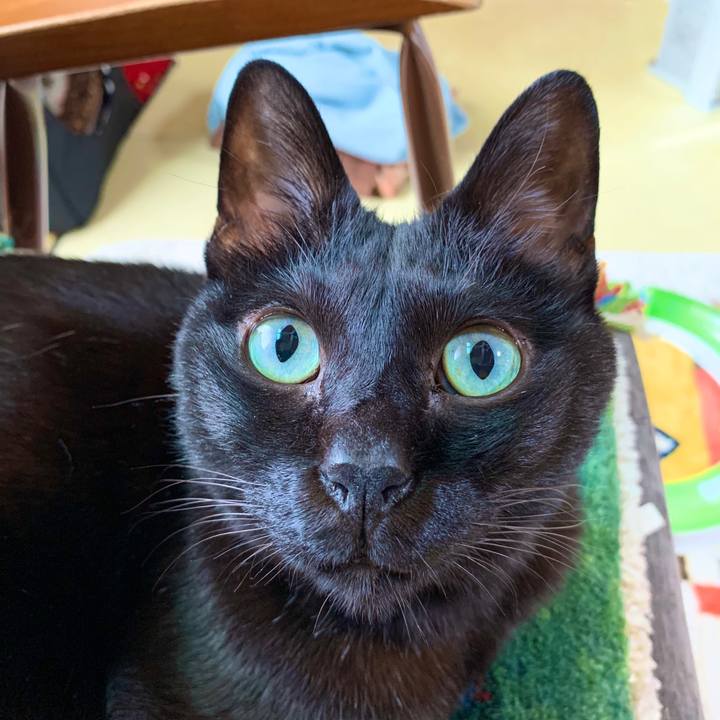 21e4de3b 4103 422b 89a1 c5bd77771ba3 1576287007096