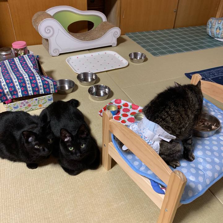 21e529a0 2e8f 4375 b644 c9c4b63f4cd1 1560500674235