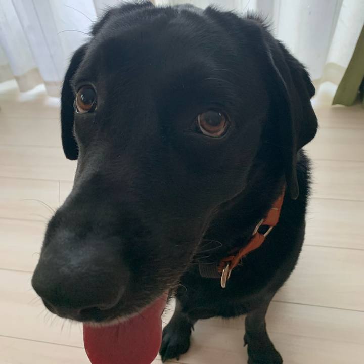 21e5bf2f 8192 49de 8286 e2cd1e500730 1660196509412