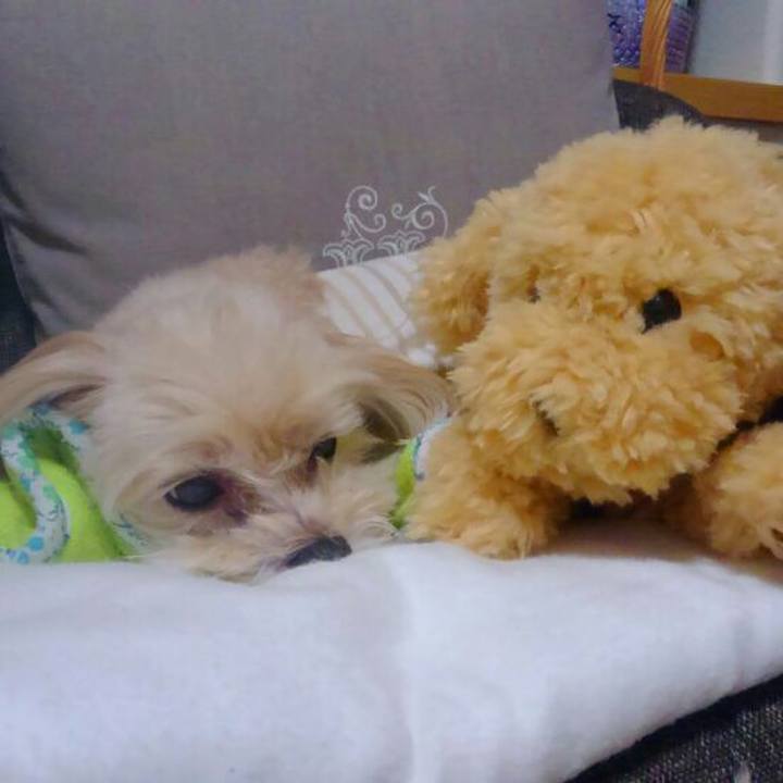 21e5ccd3 1eb3 460e bd35 d5bfbd83c8cc 1540117004507