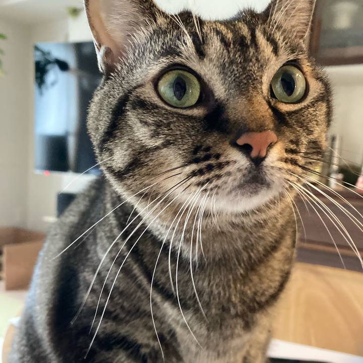 21e5df65 224d 447b bd07 45aae7556dbd 1635644304310