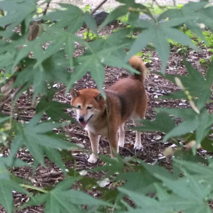 21e6274e 8b29 4f9e b291 74eeeee1b38e 1568251873878