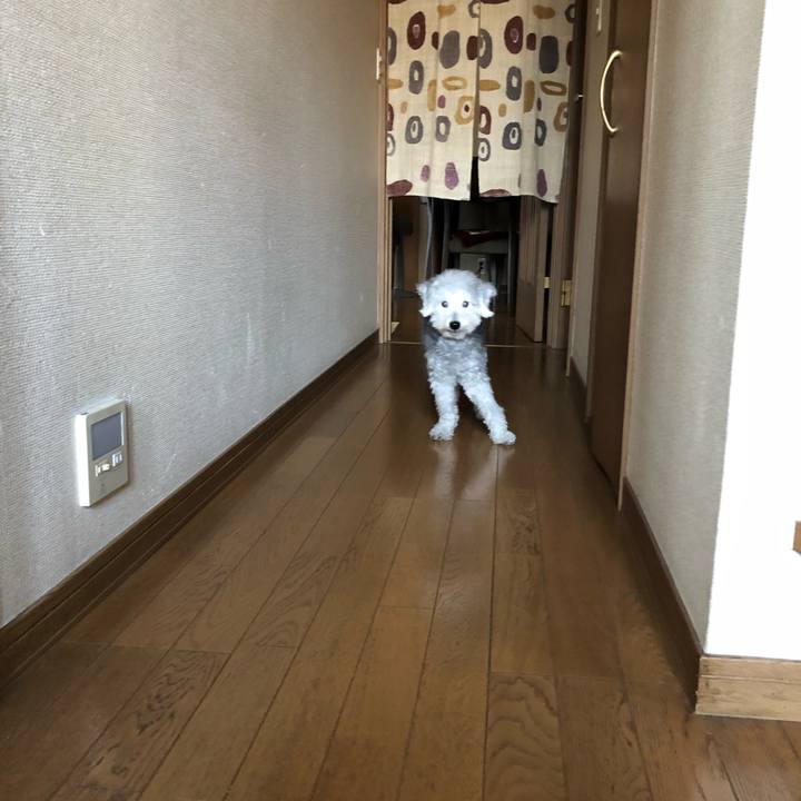 21e67279 91bf 4272 84fb d8dc0fed6793 1664927241701