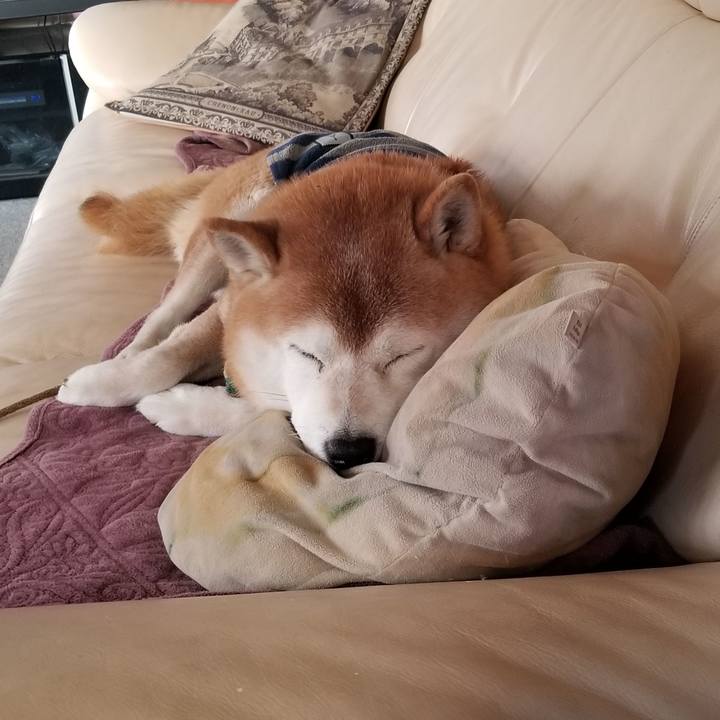 21e68d5e 7644 4170 aca9 8a57647519eb 1671492891171