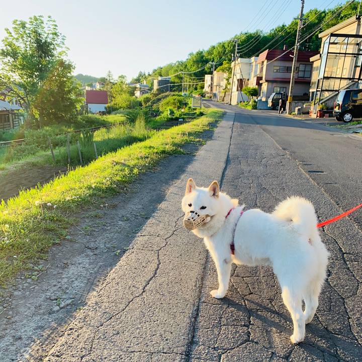 21e6a684 94b8 46bd 930d ba0ed7e707ea 1590870264812