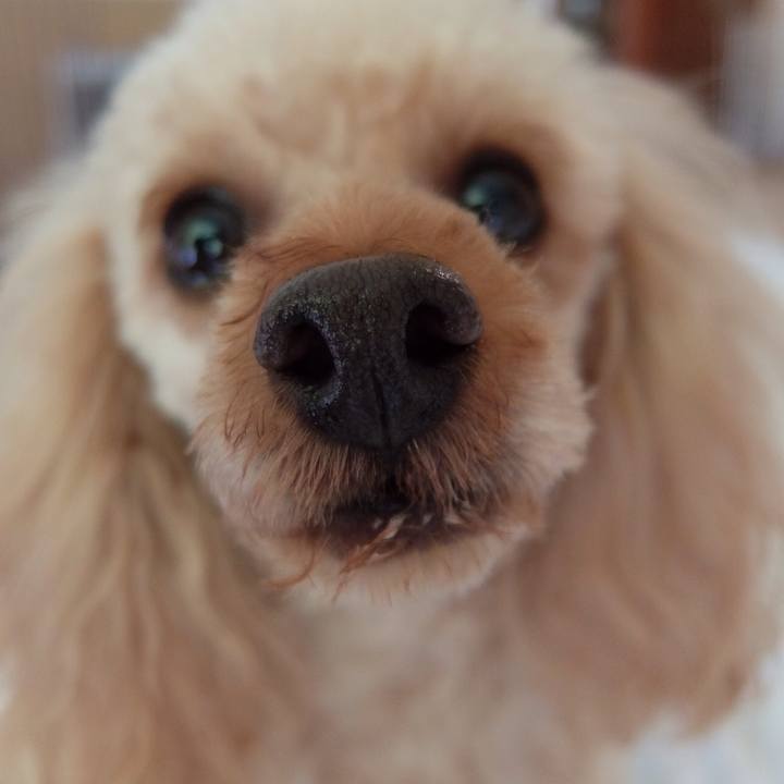 21e6ad1f 3d53 4fb2 915a 4e6110c77c0b 1523752921761