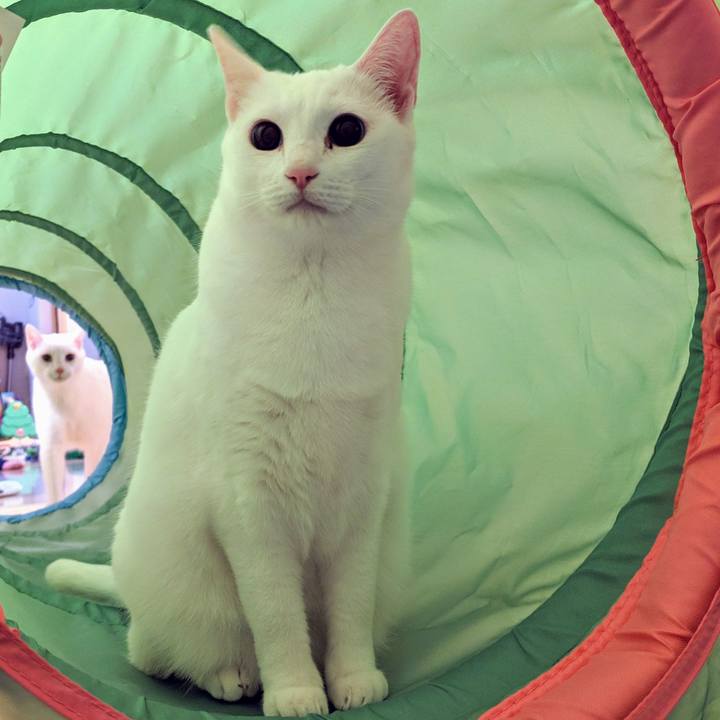 21e6b9e8 c063 436b 95ee 6a21ca77c9b3 1553917150061