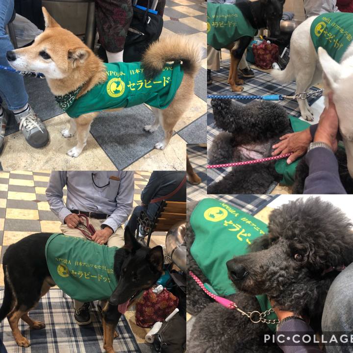 21e6df26 c72a 4e01 8aac 8e639a057196 1572073617351