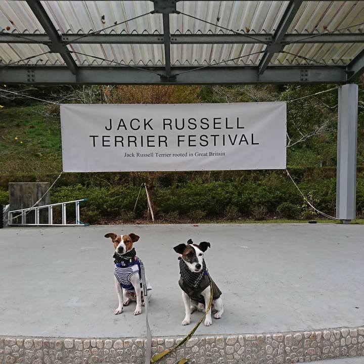 21e6e742 6573 494f b8ed 1bb7a57c749d 1543026531409