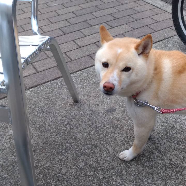 21e720db 4b6c 4b91 b097 f6a71ebb940f 1557545835638