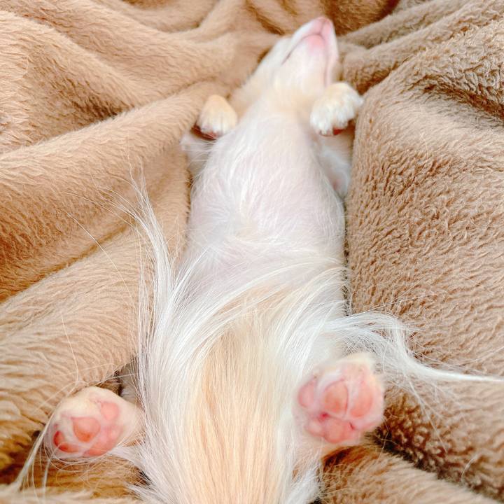 21e7c20d 5643 47f3 b7c6 912738a270c3 1649913698818