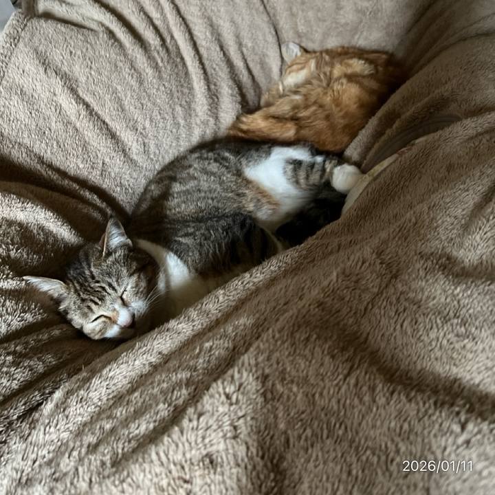 21e7d55c 6e58 4ba6 b23c 763e388133f5 1768096753813