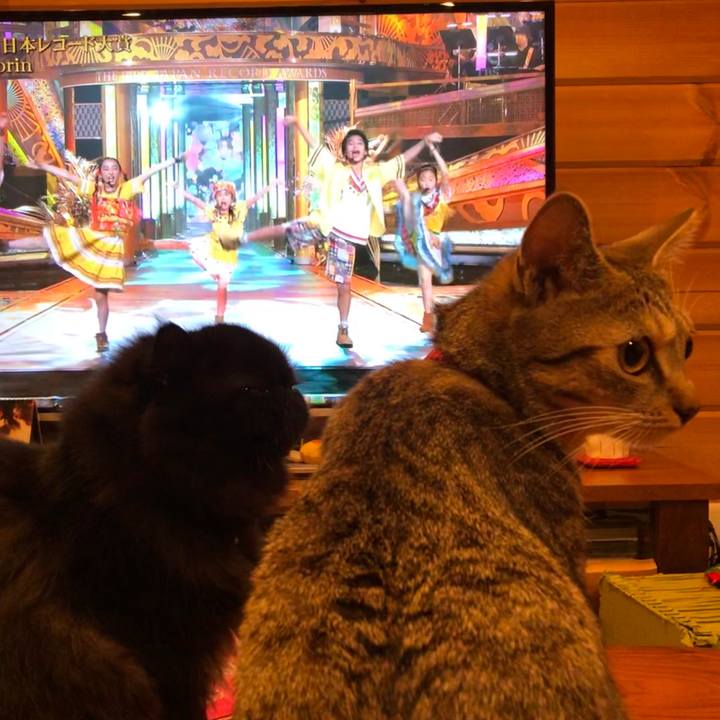 21e7db9d a851 487b b73a 87c20ee6177c 1577710911262