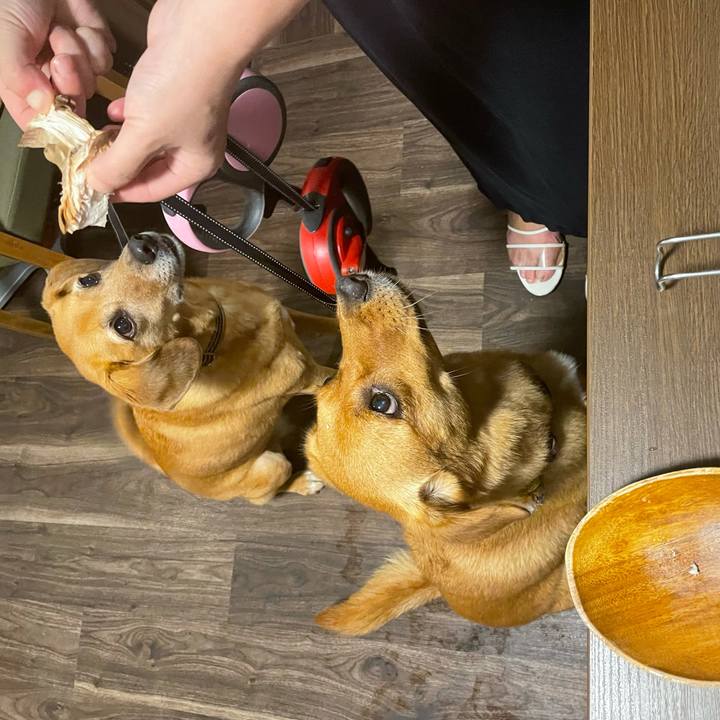 21e8183b 1548 4c96 ac78 181dfaf9c8f5 1628437838832