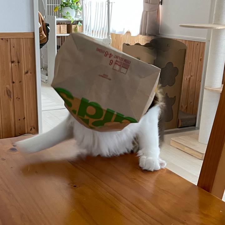 21e81c27 85c6 4dcf 9b23 7768d0d1f2d8 1665874878750