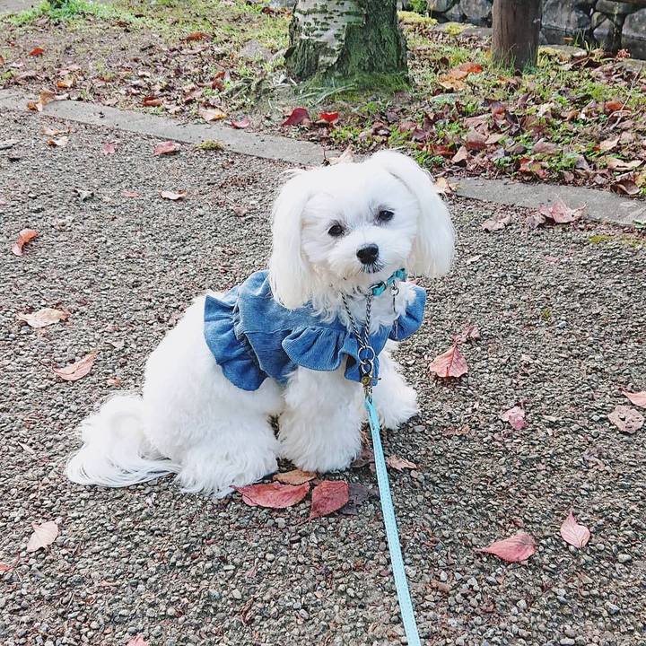 21e8402a 306b 4140 86c3 425361ea3682 1601610564890