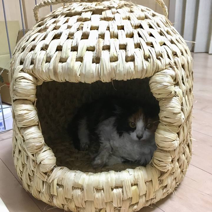 21e8638a 946e 457e 8c08 0c1ee68fea9b 1508238342192