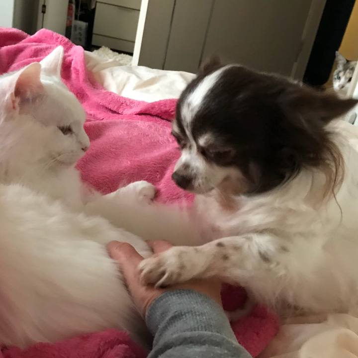 21e879d6 d5ce 41be 9950 f5739161a6fe 1516415469575