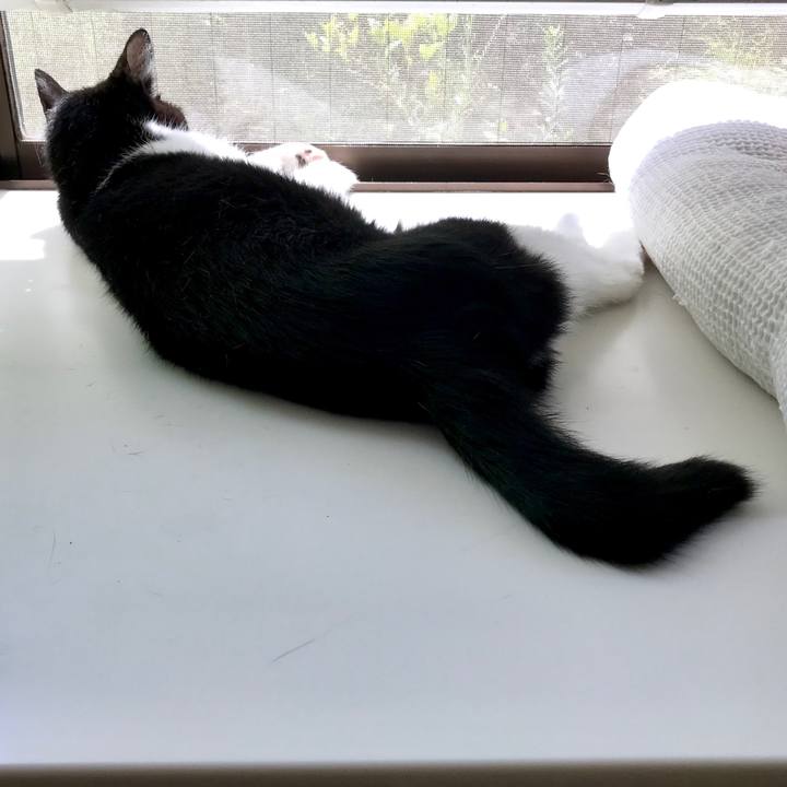 21e89524 46f7 4e3c b649 1eefc32f1903 1569462260153