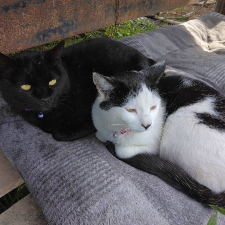 21e8c719 fa97 482d b645 23a2adcde045 1682821098340