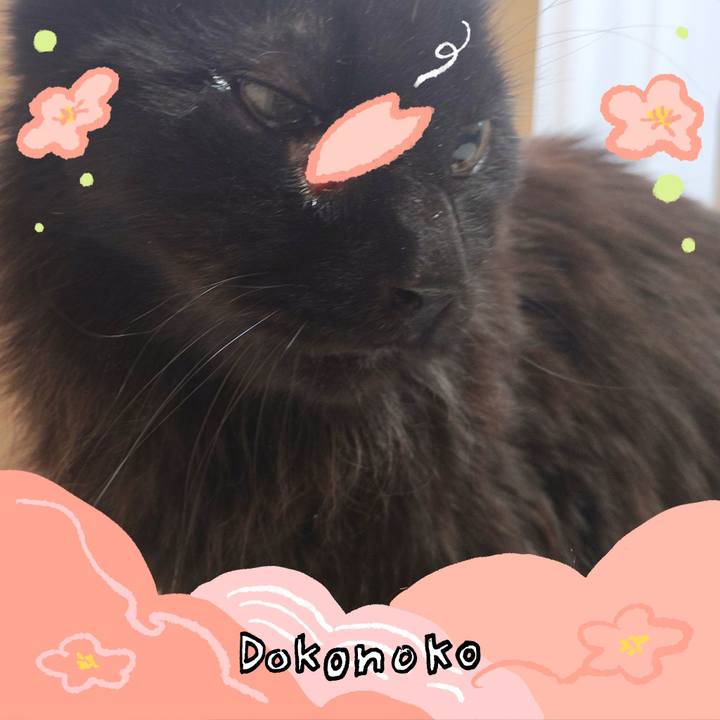 21e9040c f542 4618 acfc b71f76577848 1775355566875