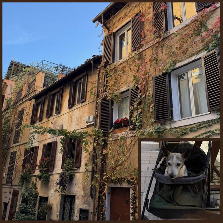 21e90f8b 0eca 4a0a 900c 22bc70ca7934 1764516185798