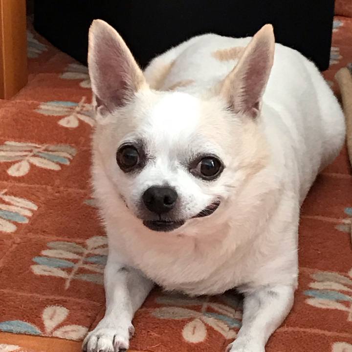 21e91c70 2a21 4546 a240 0024ee963691 1539907844904