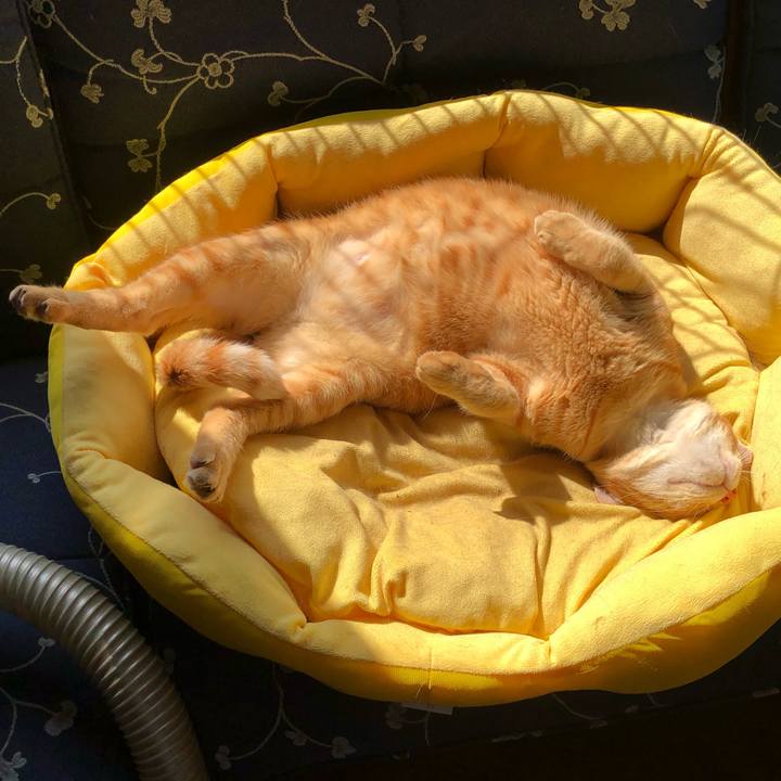 21e941dd 76ac 4909 8a22 e08af86092dd 1564378598114