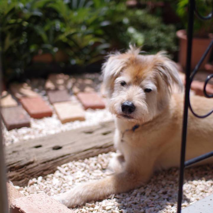 21e9acf2 1c1c 4bef ab83 2df0d15821eb 1597360388226