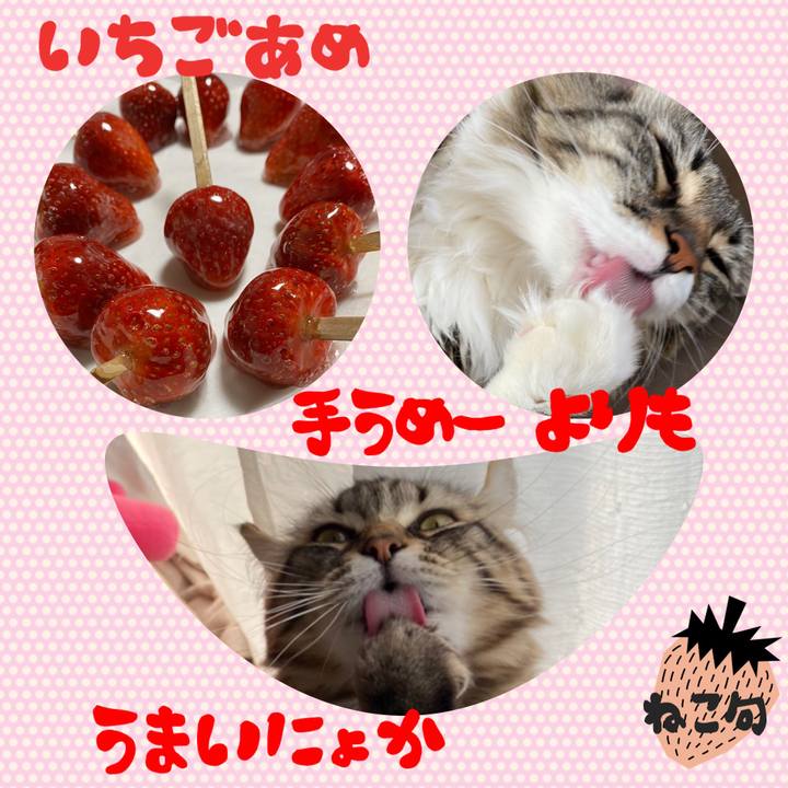 21e9c88e 4ed9 42f5 9dca 03b207b33788 1587889693896