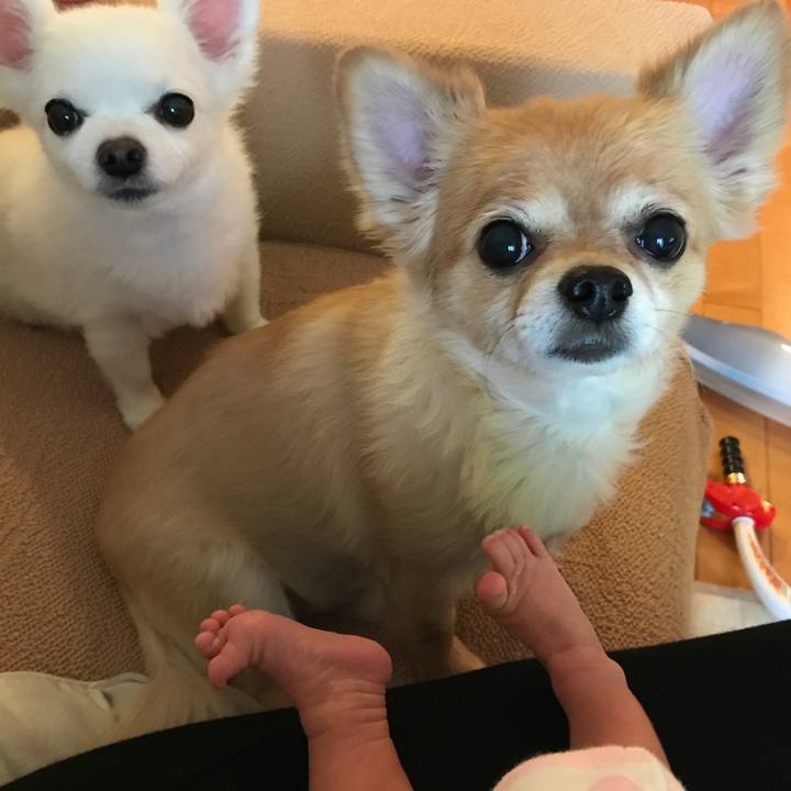 21e9dadc f5e8 499d 8ea2 8d93360293ab 1508134930696