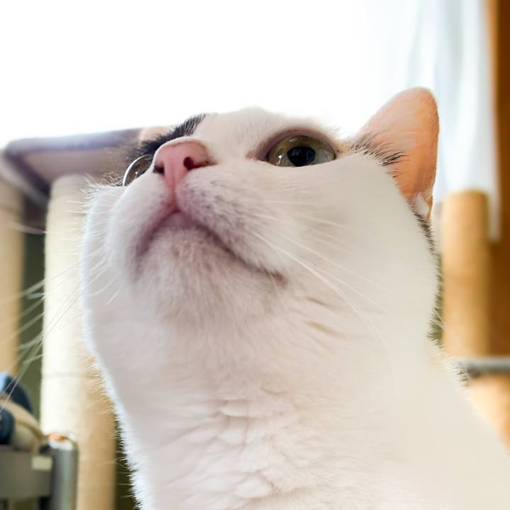 21ea0ad6 044d 42d1 81c1 26017d58d717 1591062782250