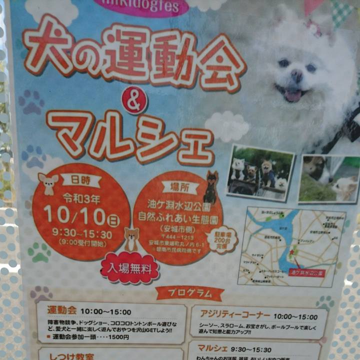 21ea20c6 4fd4 4230 b885 d75763c2825a 1633760950235