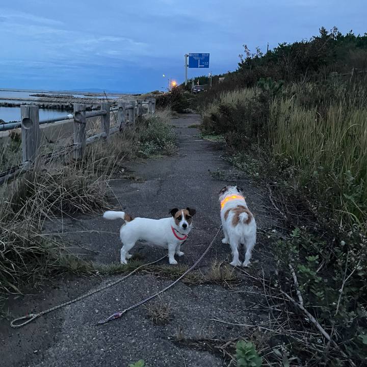 21eaa42f 3b40 43f5 ab48 30a9a6d44afd 1696843925996