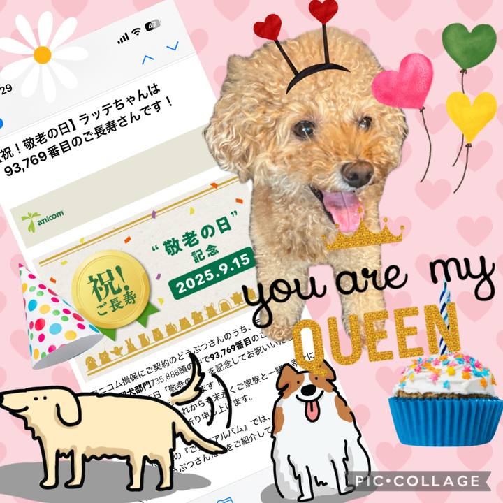 21eb523b 60c1 43c1 abe4 256e69a95133 1757906482047