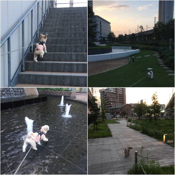 21eb864c 9db9 443a 87bb b21547bbab1d 1563362023716