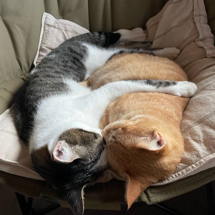 21ebac68 b558 4860 aac8 09a77dfebdce 1761343090859