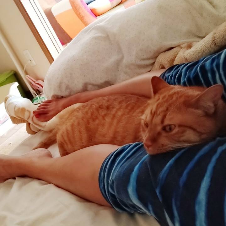 21ebbb7e 344a 4d15 b6cc 3ced9710fec2 1597537671195