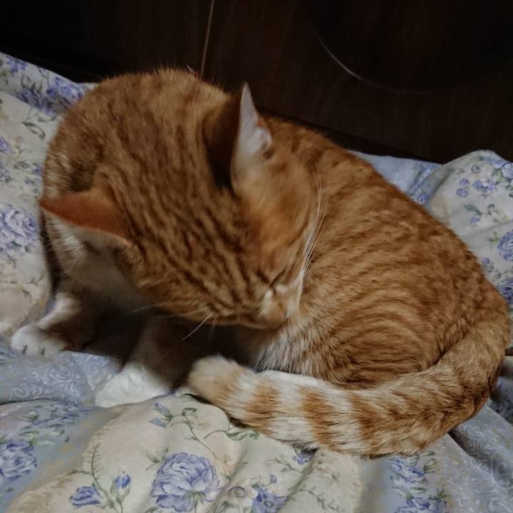 21ebd397 828b 4a6e a40c 32a986bcefa7 1579173947509