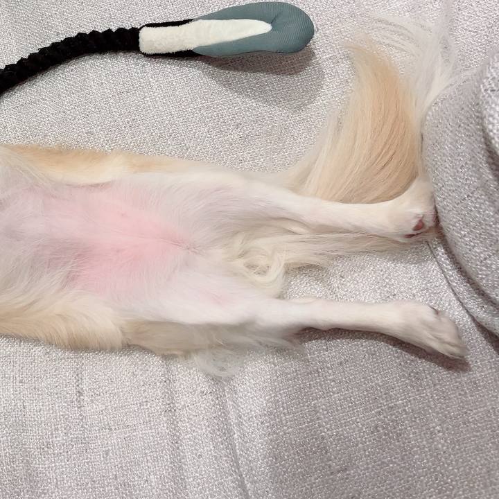 21ec0205 2fb7 45f8 b0ed 8000a0343a18 1713359823777