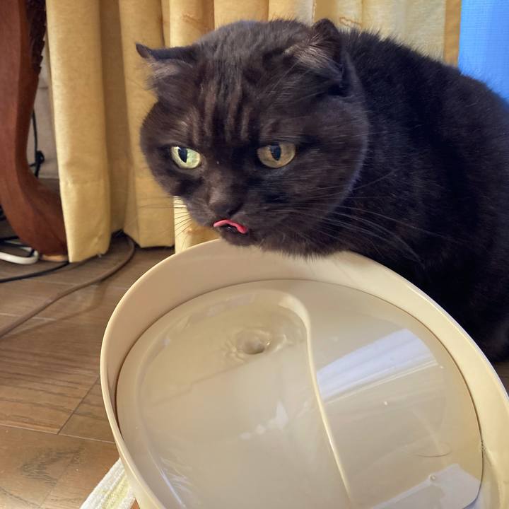 21eca925 5b0e 4117 b4c6 1fec24df551d 1608094133890