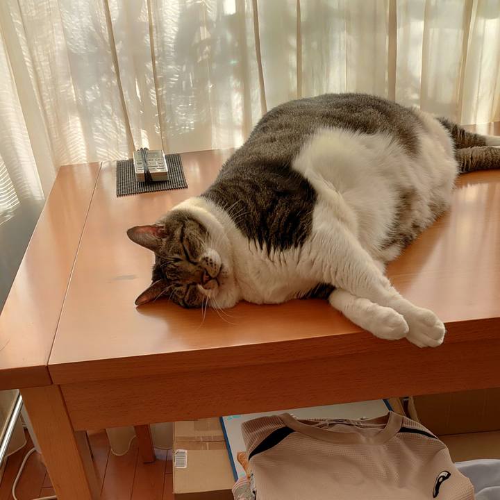 21ecac23 3d14 4c9c a8b0 5d9ab5637f6b 1634691292539