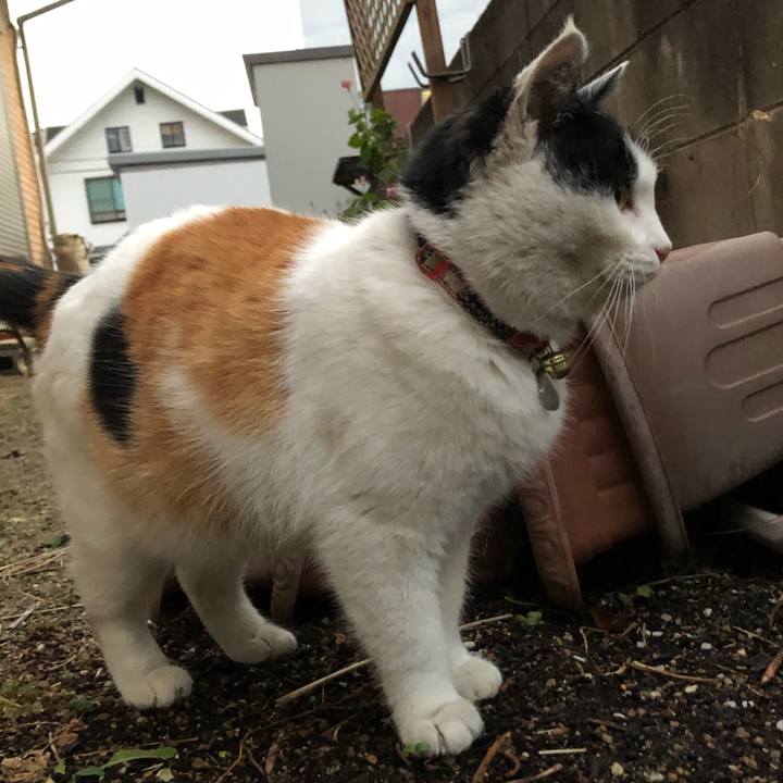 21ecb333 e075 43cb 863b c74128d77264 1610490068976