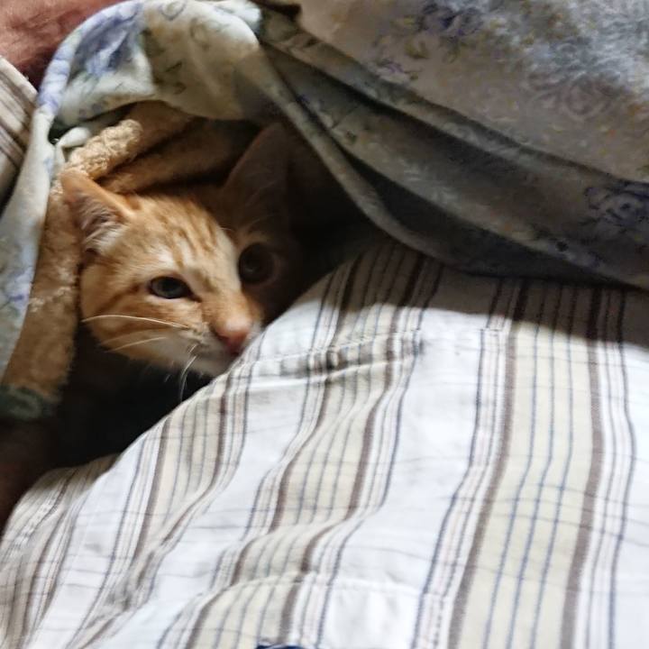 21ecc22b 17b4 442f afb4 52b747cfeafc 1633119963170