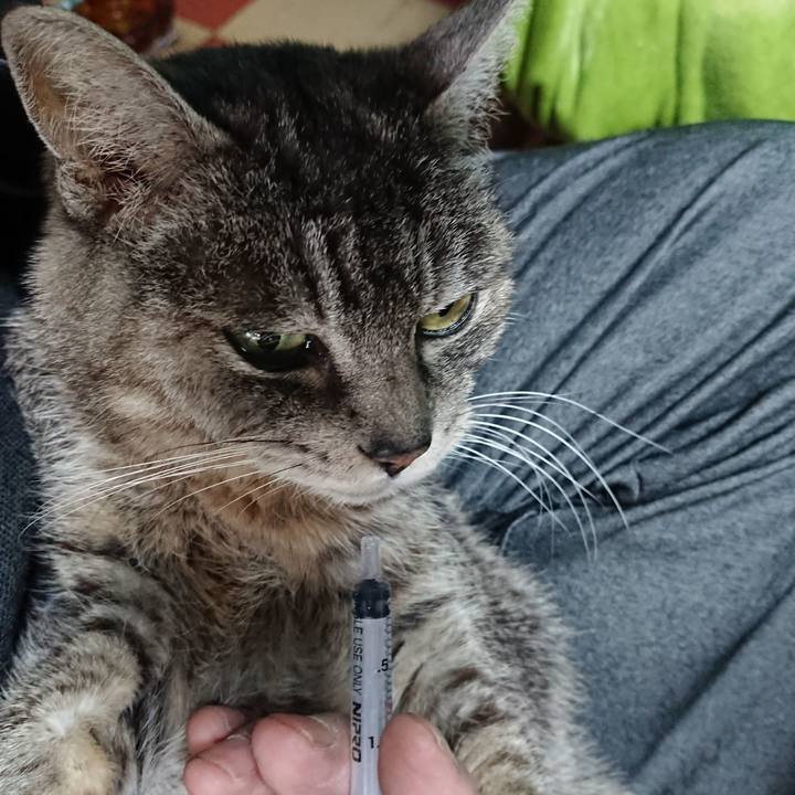 21ecc7d9 0a64 48f9 ad46 ee244d747dc3 1582840449559