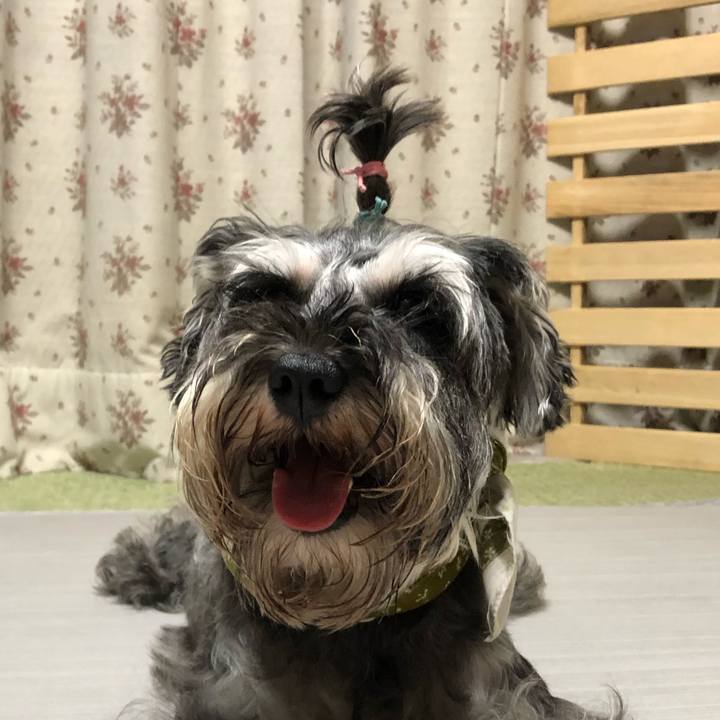 21ecfbdb da78 4b87 89e0 166c1ca7b9f3 1565093879855